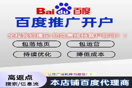 竞价端口开户全攻略，案例分析